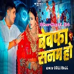 Bewafa Sanam Ho (Golu Raja)