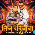 Dil Tohar Til Par Diwana Bhail Ba (Hit Matter)