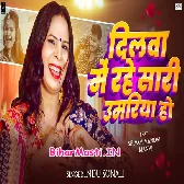 Dilwa Me Rahe Saari Umariya Ho