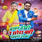 Hamar Dhodi Re Chhawra Badi Bhalo Achhe