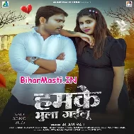 Hamke Bhula Gailu