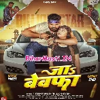 Ja Bewafa Jake Luta Lahaar (Hit Matter)