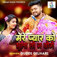 Mere Pyaar Ko Bhula Toh Na Doge
