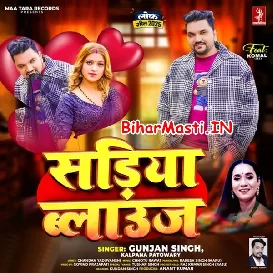 Sariya Blouse (Gunjan Singh, Kalpana)